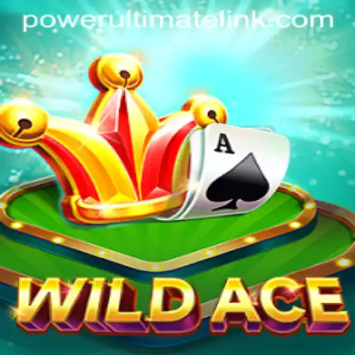 Discover the Thrills of WildAce: A Power Ultimate Casino Experience